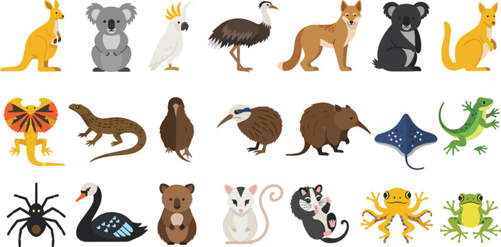 Australian wildlife and native animals vector illustration set featuring kangaroo koala emu dingo platypus and colorful lizards