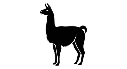 Fototapeta premium Black Silhouette of a Llama Standing Isolated on White Background