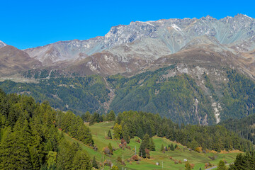 Obraz premium Alpines Bergpanorama mit terrassierten Wiesen und Nadelwald bei Nauders, Tirol