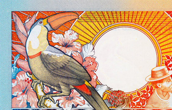 Macro detail of 250 Gulden Suriname banknote featuring a Toco Toucan and hibiscus flower. Vintage money of Sirinam