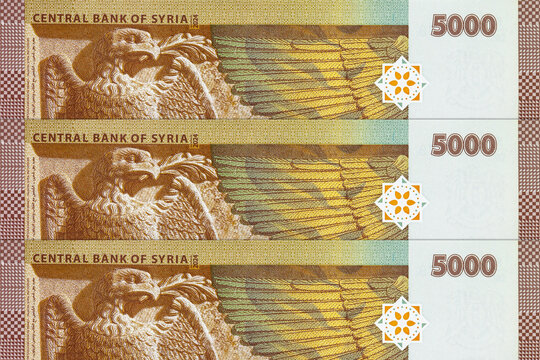 5000 Syrian Pounds Banknote featuring the Eagle of Saladin and Ancient Palmyra Relief. Money of Syria.