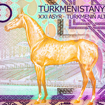50 Turkmenistani Manat Banknote with Akhal-Teke Horse and stadium. Turkmenistan currency. Money of Asia.