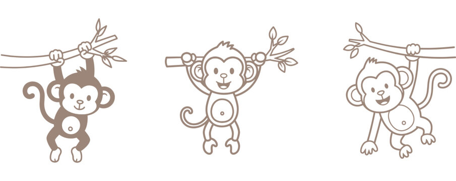 Three brown monkeys hanging from a rope isolated on white background