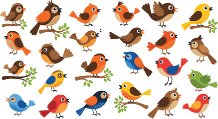 Cute colorful birds collection with cartoon forest and garden bird characters, playful wildlife vector set isolated on white background