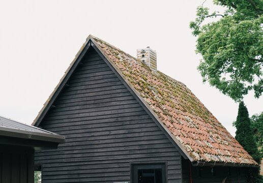 Moss Covered Terracotta Roof Tiles on Old Barn