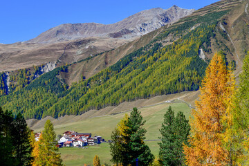 Blick über grüne Bergwiesen auf den Weiler Melag im herbstlichen Langtauferer Tal, Südtirol © Ilhan Balta