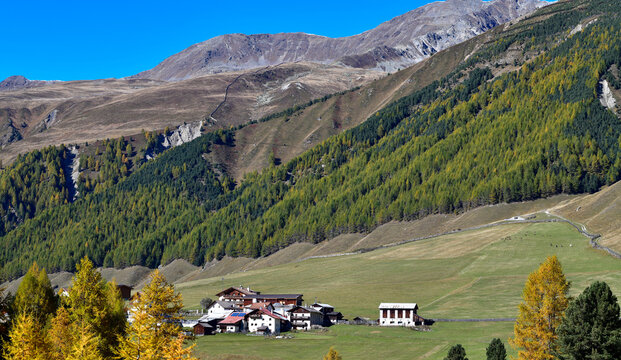 Bergwiesen bei Melag im Langtauferer Tal in S&uuml;dtirol