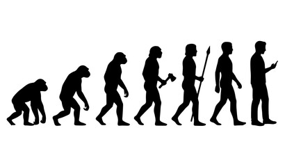 Human evolution silhouette sequence vector showing 8 stages from primitive ancestor to modern human © Jahangir