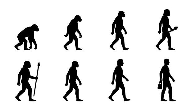 Modern human evolution silhouette vector icons with prehistoric ancestor and modern human progression