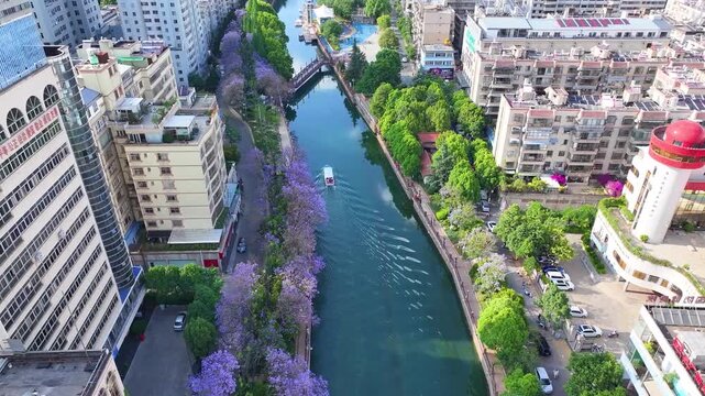 Aerial Canal View with Jacaranda Trees in Kunming, China in Kunming, Yunnan, China