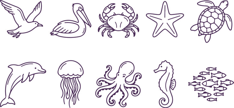 Collection of marine animals and sea life icons and borders for design and decoration.