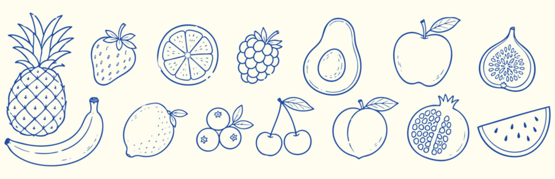 Hand drawn doodle fruit set, collection of various fruits and berries, vector illustration