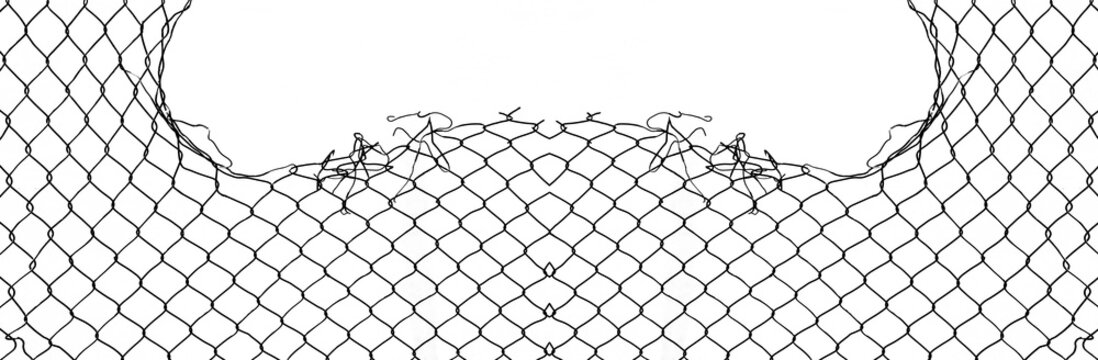 Wire fence or metal net on sunset background. isolated on white backdrop. hole in net. Wire mesh fence, Rabitz net. illustration.
