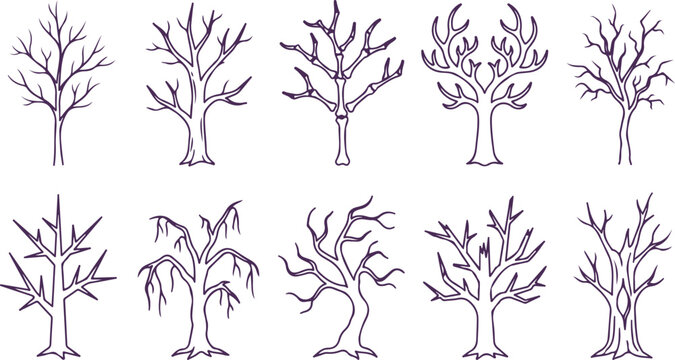 Collection of stylized bare trees and branches in outline drawing for autumn or winter.