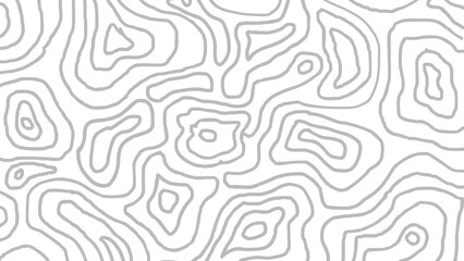 Fototapeta premium Minimalist Abstract Topographic Map Pattern Gray Contour Lines on White Background