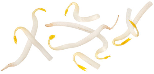 Obraz premium Bean sprouts isolated on white background with clipping path