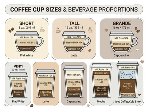 An artistic flat 2D vector infographic showing coffee cup sizes and beverage proportions.
