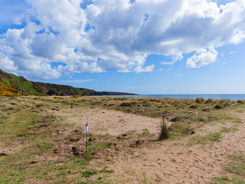 A sandy area behind the dunes at St Cyrus where a washed up dead whale has been buried some months previously.