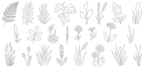 Set of Shrubs and Grass Line CAD Elements, Ground Cover Vector Illustration for Elevation Architectural Design, Side View Grass Section Collection © YET FAR 