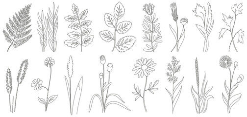Set of Shrubs and Grass Line CAD Elements, Ground Cover Vector Illustration for Elevation Architectural Design, Side View Grass Section Collection © YET FAR 