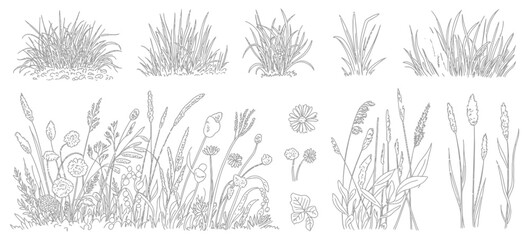 Set of Shrubs Line CAD Elements, Ground Cover Vector Illustration for Architectural Elevation Design, Side View Grass Section Collection © YET FAR 