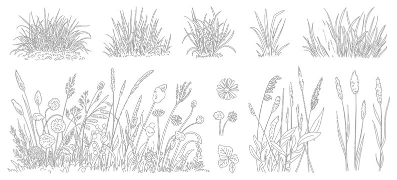 Set of Shrubs Line CAD Elements, Ground Cover Vector Illustration for Architectural Elevation Design, Side View Grass Section Collection