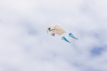 Cerf-volant © Jean-Paul Comparin