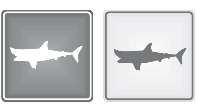Shark area sign. vector illustration