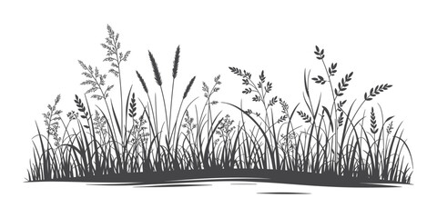 Tall Wild Grasses Silhouette Vector Set, Monochrome Black Nature Illustration Collection © YET FAR 