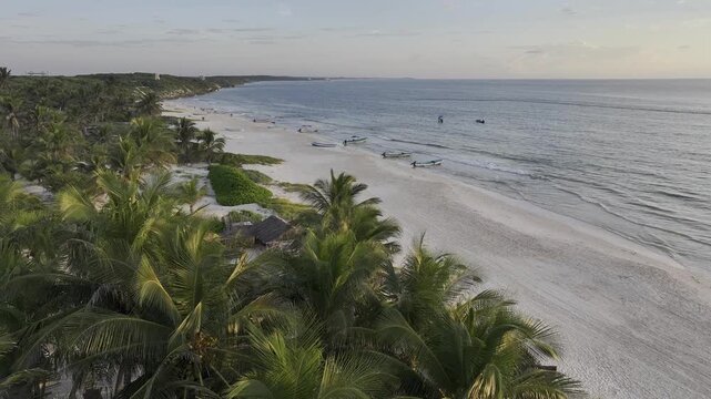 Aerial view of the natural scenery of palm trees on the beach of Tulum, Mexico