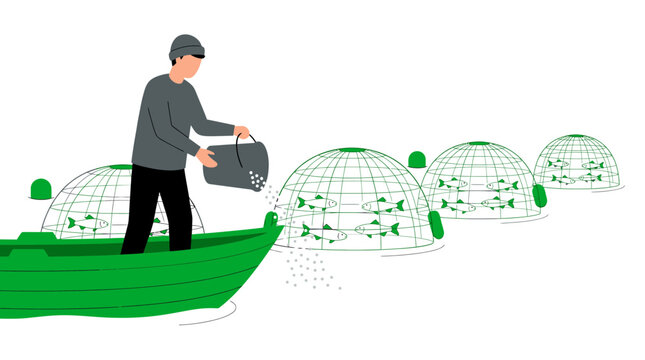 Male fisherman on a green boat pouring pellets into modern underwater dome cages with fish, representing sustainable aquaculture industry and commercial seafood production methods