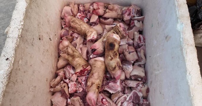 Close up of raw butchered pig's feet and pork pieces in a white polystyrene container, with visible singe marks from the scorching process.