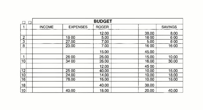 Budget spreadsheet financial data table.