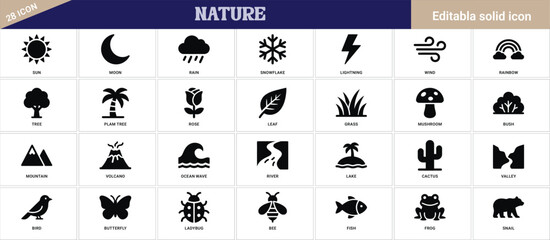 Nature icons set for weather, plants, and animals in solid style. © Romman