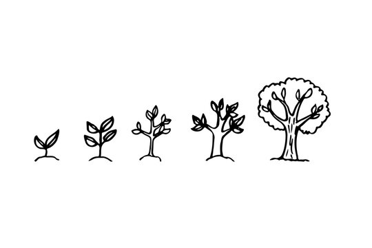 Minimalist black ink line art illustration showing tree growth stages. Hand-drawn plant life cycle icons from small sprout and sapling to mature big green tree on a white background.