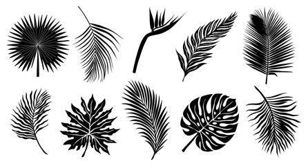 Silhouetted tropical leaves in bold black ink. Each leaf varies in shape, size, and texture. Nature's diversity captured in minimalist design. Perfect for eco themes, travel designs, or fashion prints © Creative_Juice_Art