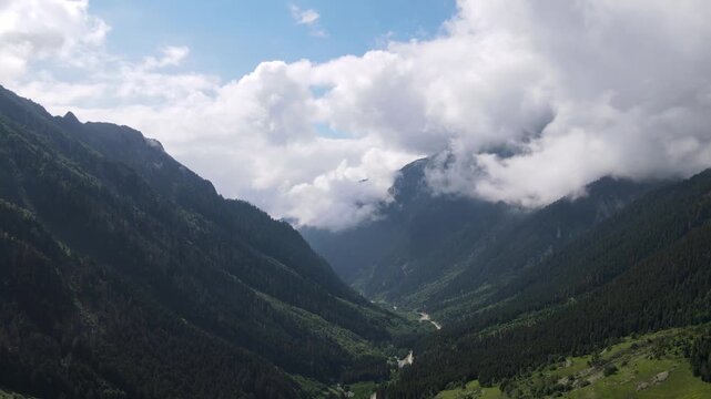 Mountains, forests, trees and cloudy blue sky. Pine, cedar, hornbeam forests. A nature footage from the untouched mountains.