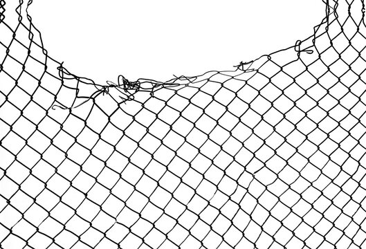 Wire fence or metal net on sunset background. isolated on white backdrop. hole in net. Wire mesh fence, Rabitz net. illustration.