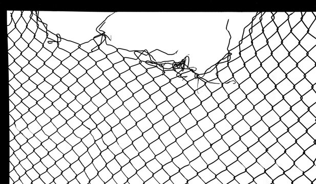 Wire fence or metal net on sunset background. isolated on white backdrop. hole in net. Wire mesh fence, Rabitz net. illustration.