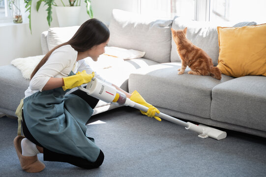 An Asian woman uses a wireless handheld vacuum cleaner cleaning carpet under sofa. Home cleaning, household chores, hygiene, sanitation and modern lifestyle concept with copy space.
