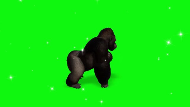 Gorilla dancing playfully on a green screen while falling dollar bills create a festive and cinematic money rain effect
