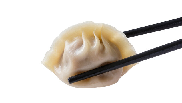Steamed dumpling held by black chopsticks, isolated on transparent background