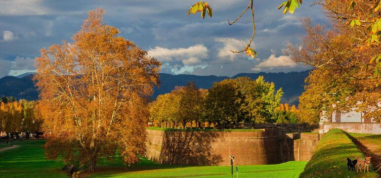 Autumn in Lucca. Scenic view of the city ancient walls public park at St Donato Gate with autumnal leaves
