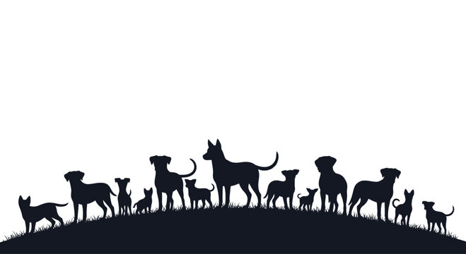 Silhouette of a diverse group of dogs standing together.