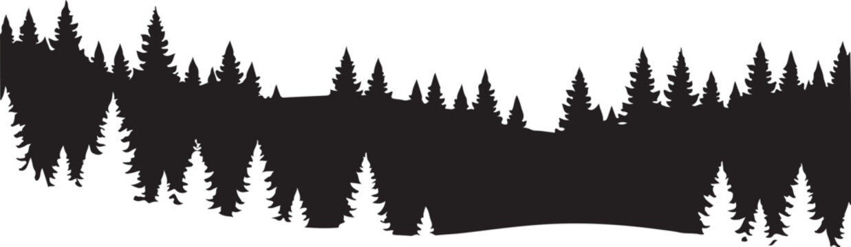 Evergreen forest silhouette, pine tree landscape, black trees border, nature scene, vector graphics