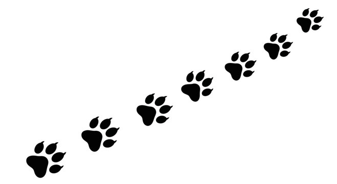 A sequence of black paw prints on a white background.