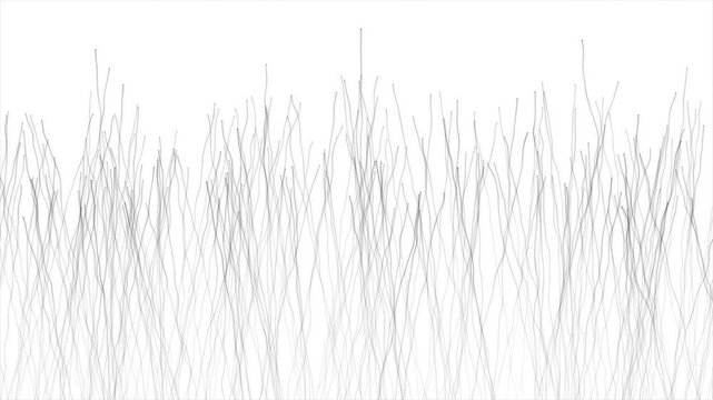 Graceful organic black strands growing and weaving slowly upward on a clean white background, minimalist abstract design 