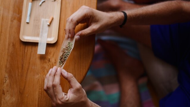 Hands rolling cannabis joint with tobacco on wooden table in daylight