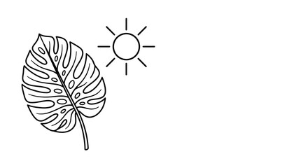 Hand drawn illustration of a tropical monstera leaf and sun. © Avis_Sunani