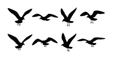 Seagull silhouette vector set, flying sea bird icons in black isolated on white, 8 coastal bird elements for nautical design and beach graphics © Farah-Studio
